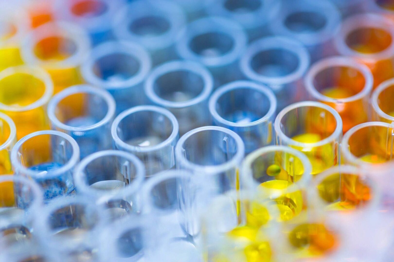 A close up of many test tubes in a lab